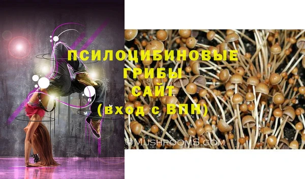 молекула духа Медвежьегорск