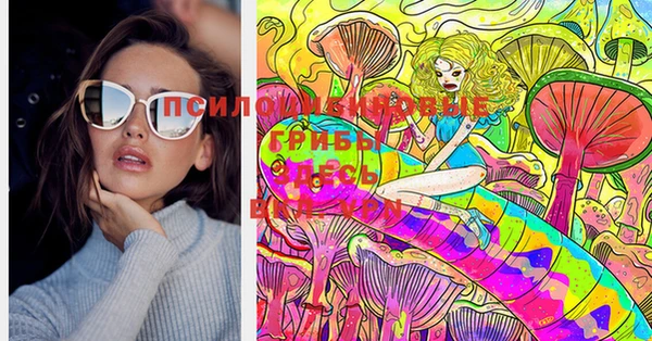 хмурый Михайлов