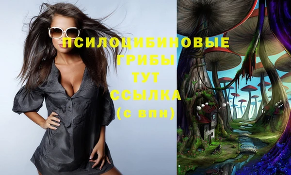 метадон Михайловск