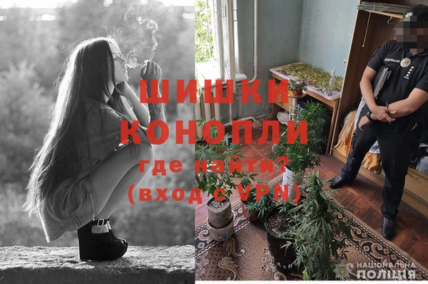 прущие крисы Михайловка