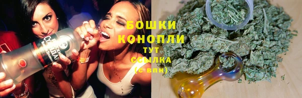 прущие крисы Михайловка
