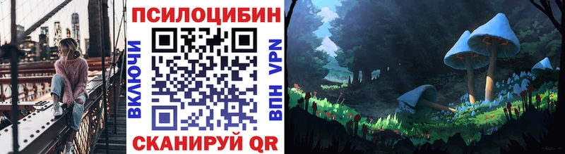 где можно купить Лениногорск Галлюциногенные грибы Psilocybe