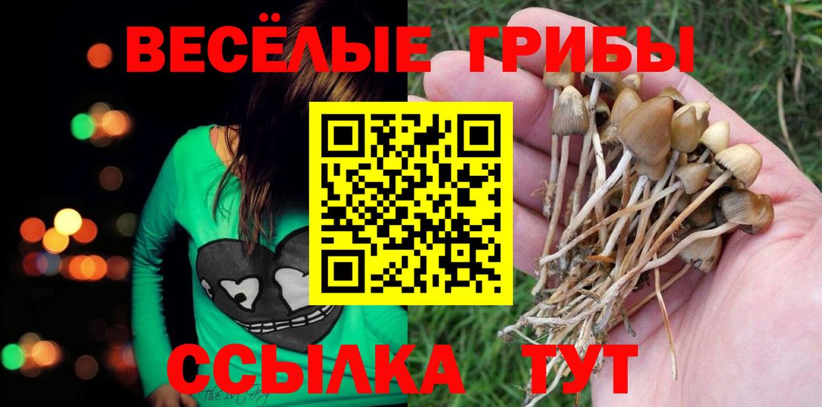 Псилоцибиновые грибы Magic Shrooms  Вход с VPN  Лениногорск 