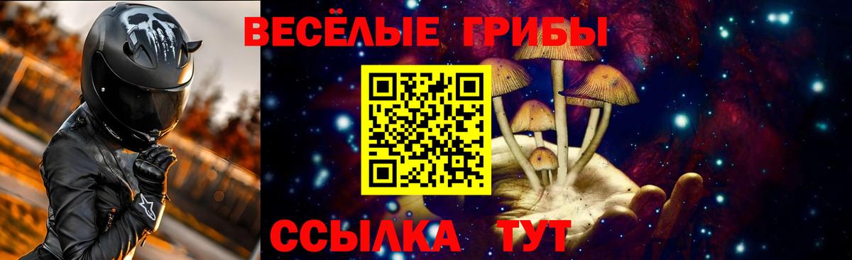 купить наркотик  Лениногорск  Псилоцибиновые грибы MAGIC MUSHROOMS 