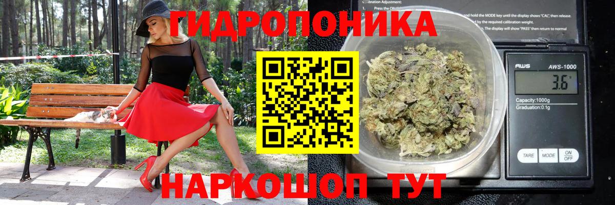 Лениногорск  Конопля AK-47  Канабис LSD WEED  Бошки марихуана семена  Вход с VPN  МАРИХУАНА сатива 